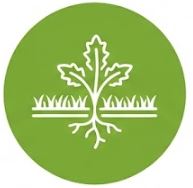 Ochrana proti plevelu