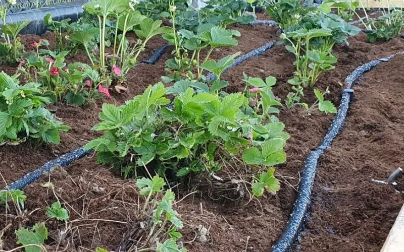 Detail mikropórů průsakové hadice ze 100% recyklované pryže