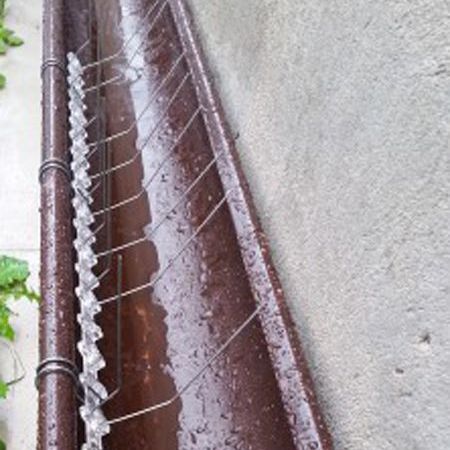 hroty proti vtákom na ríňu