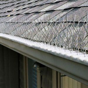 hroty proti vtákom strecha