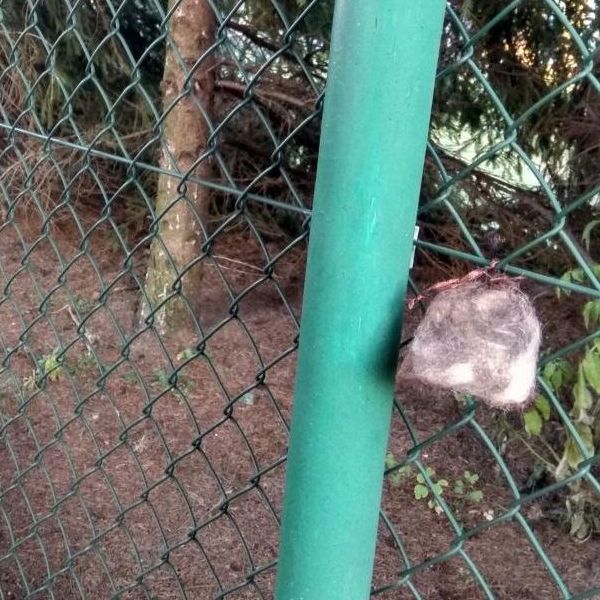 odpudzovač diviakov kunagone kovový plot