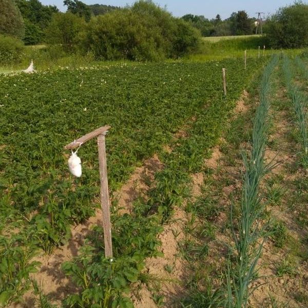 odpudzovač diviakov kunagone úroda