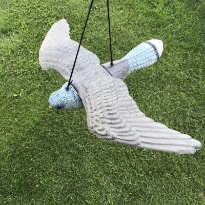 Plašič vtákov lietajúci sokol