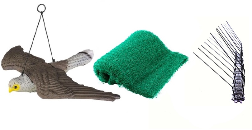 Ochrana proti ptákům