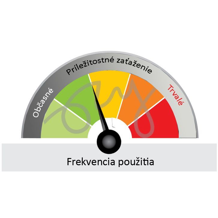 Zatravňovací rohož na dočasné parkování GrassRoll Premium + | 2x15m | 30m2 do 5 tun