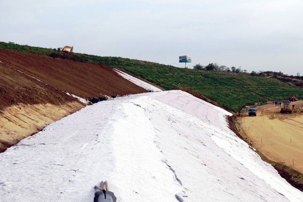 Trávníkový koberec GRASSTEX®, trávník, který založí každý sám! 2,1x50m