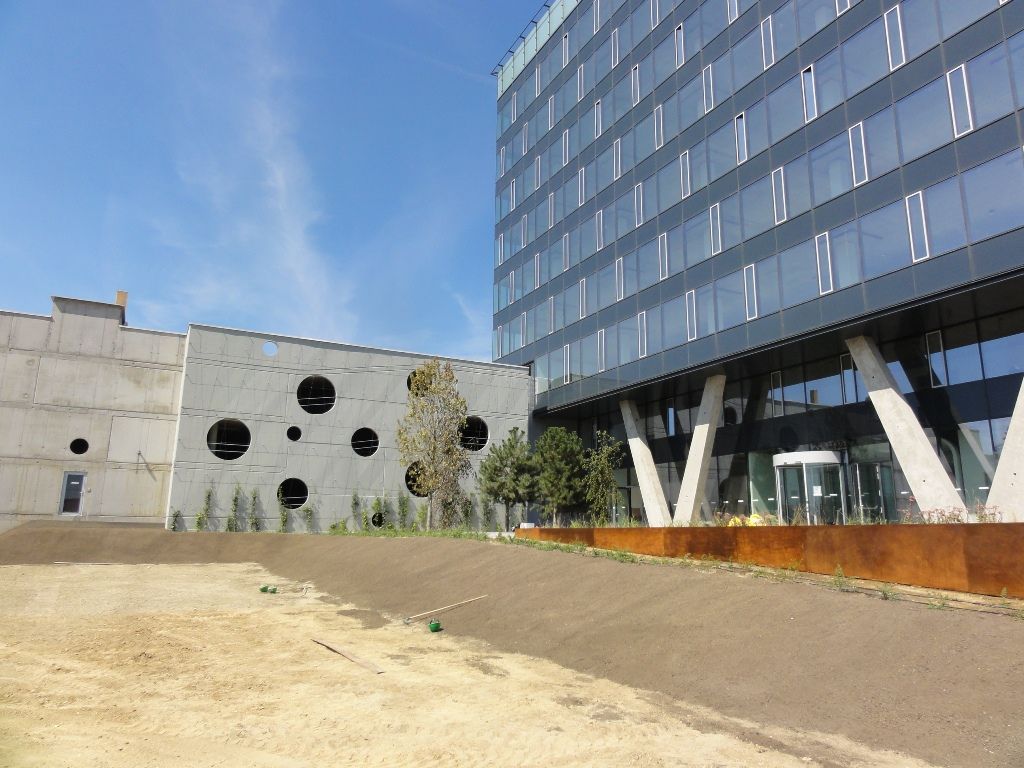 Trávníkový koberec GRASSTEX®, trávník, který založí každý sám! 2,1x50m