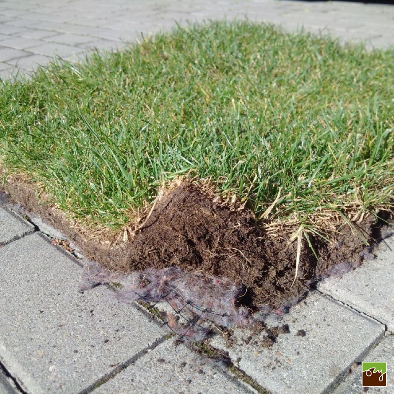 Trávníkový koberec GRASSTEX®, trávník, který založí každý sám! 2,1x50m