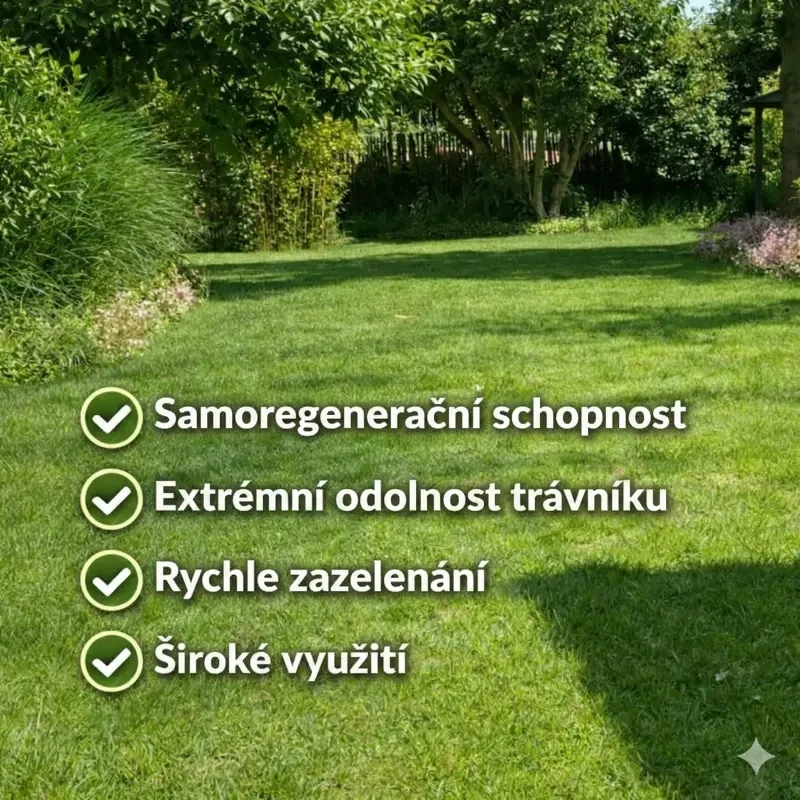 Travní směs BARENBRUG RPR Lawn SPORT - 1kg