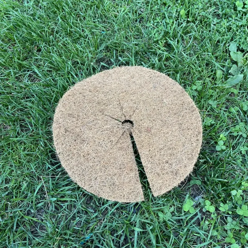Kokosový kruh Ø37cm ochrana pro strom 800g/m2