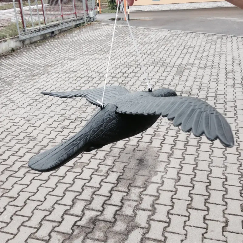 Létající Havran - plašič drobného ptactva