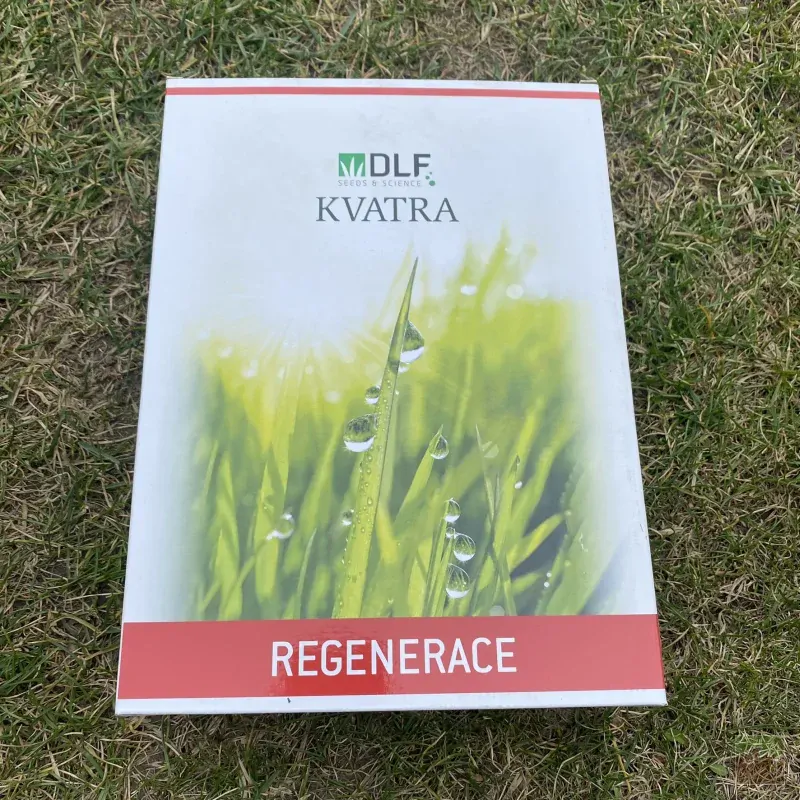 Travní směs DLF Dosev a regenerace | 40m2 | 1kg