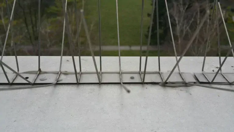 Ostny / Hroty proti ptákům, délka 0,5 m, 40 hrotů