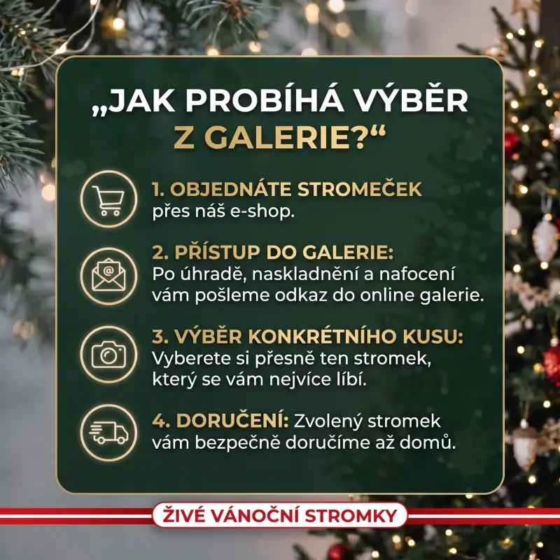 Výběr stromku z galerie