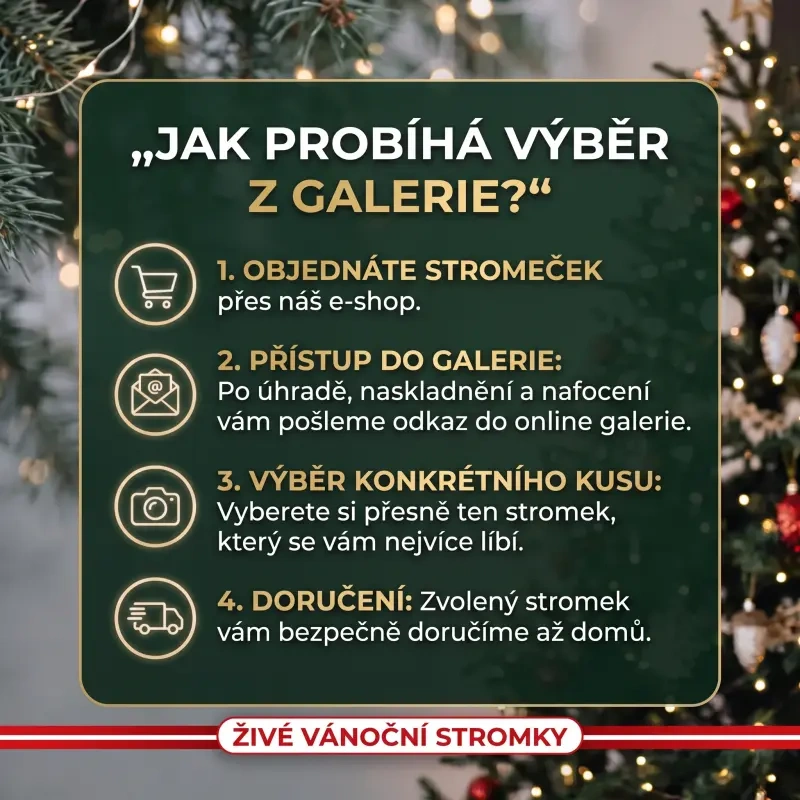 Výběr stromku z galerie