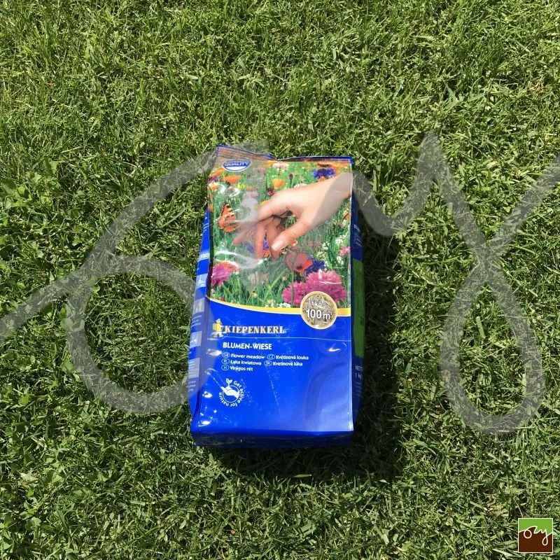 Okrasná směs květinová louka | 100m2 | 1kg