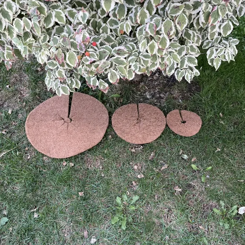 Kokosový kruh Ø37cm ochrana pro strom 800g/m2