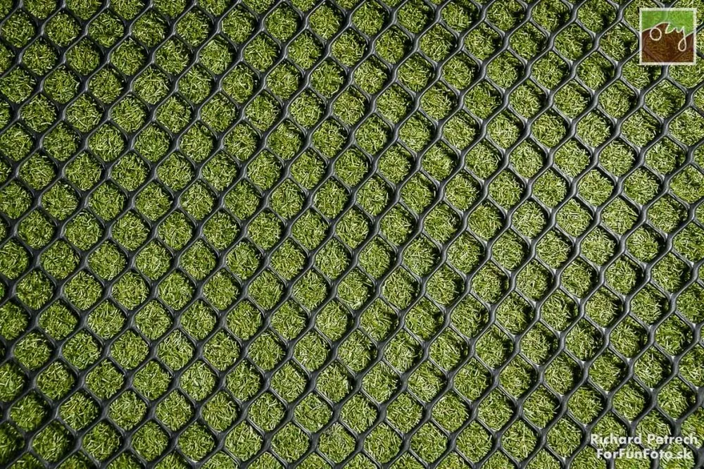 Zatravňovací rohož HEXO 33 | 1,3 x 25m | 32,5m2