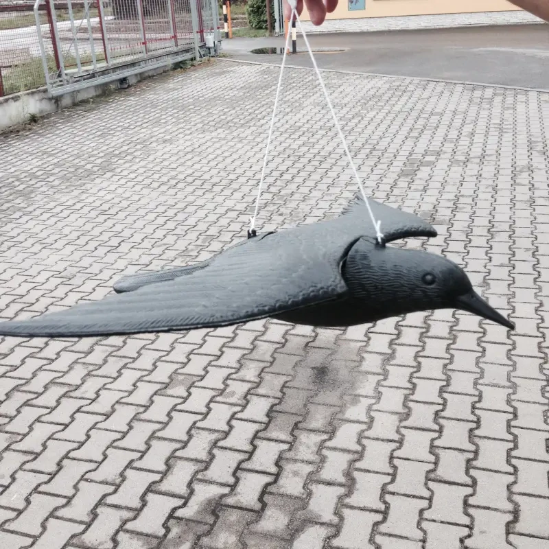Létající Havran - plašič drobného ptactva
