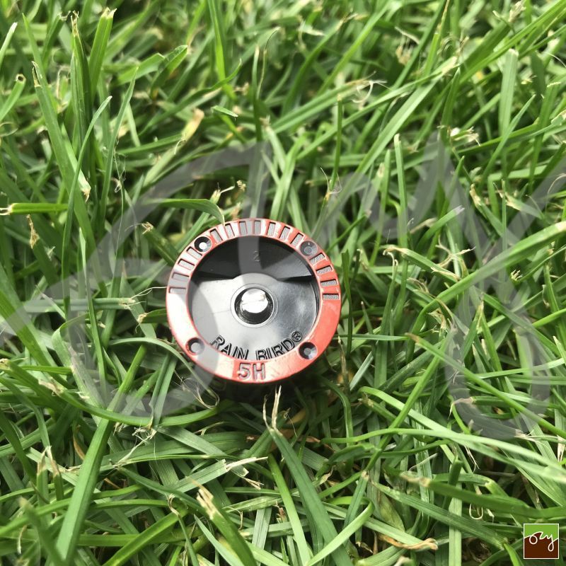 Rozprašovací tryska MPR-5-H | Rain Bird