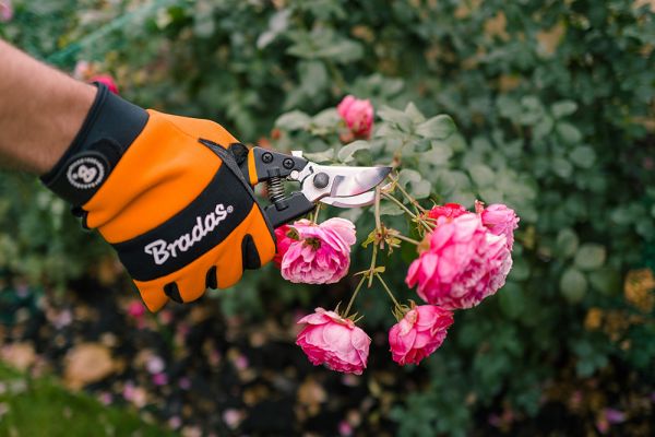 Zahradní nůžky s ocelovou čepelí - černé