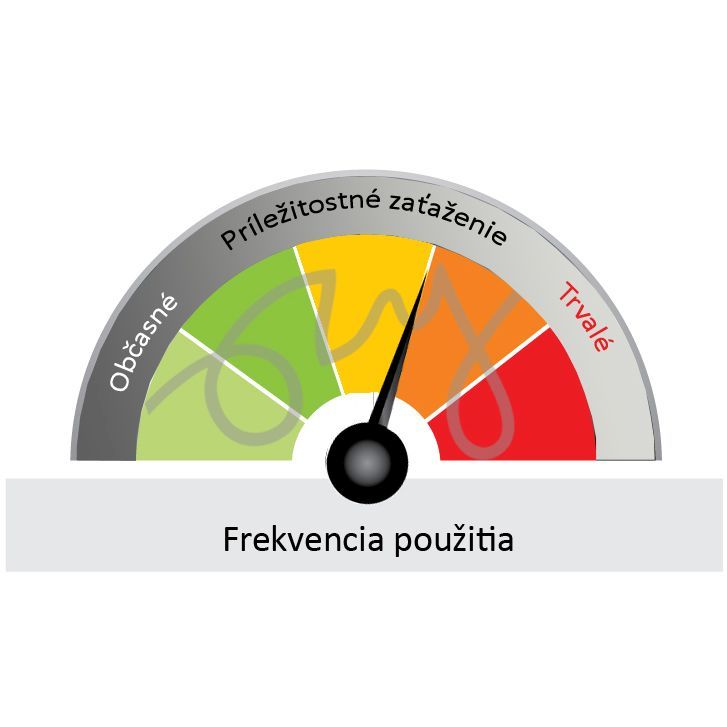 Zatravňovací rohož na trvalé parkování GrassRoll Extra | 2x5m | 10m2 až do 7,5 tun