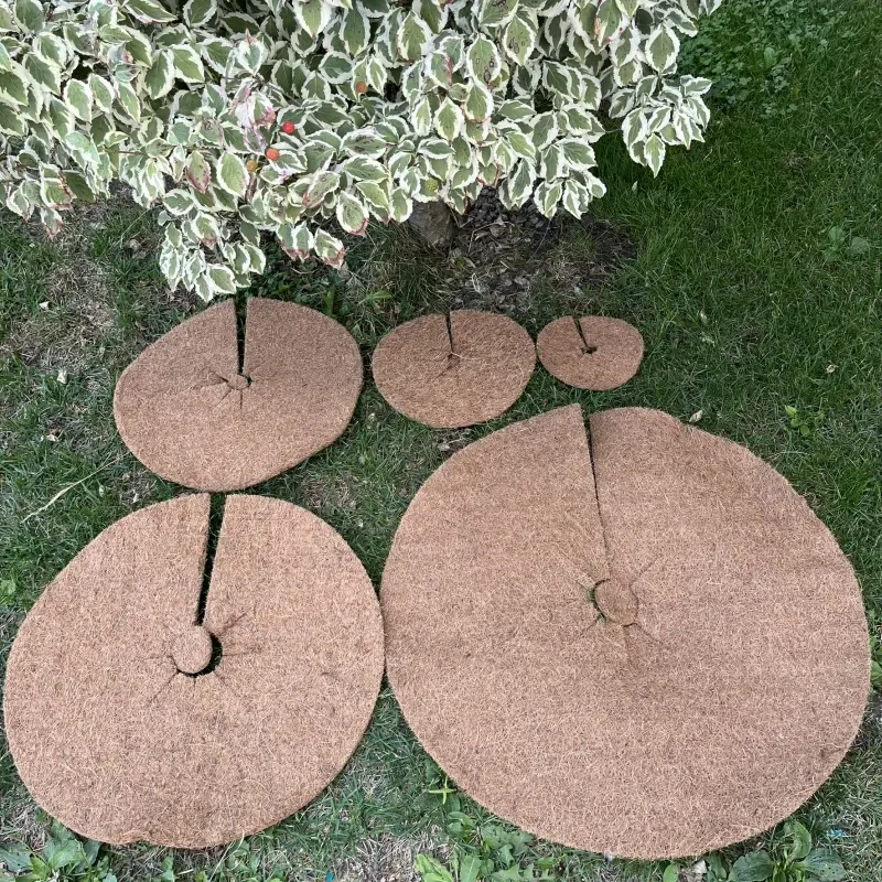 Kokosový kruh Ø37cm ochrana pro strom 800g/m2