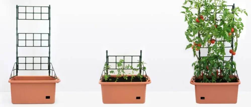 Mini BIO Garden ala Mini zahrádka nejen na balkony