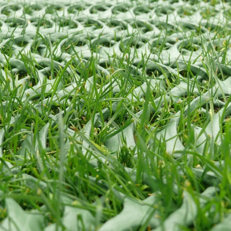 Zatravňovací rohož na trvalé parkování GrassRoll Extra | 2x15m | 30m2 až do 7,5 tun