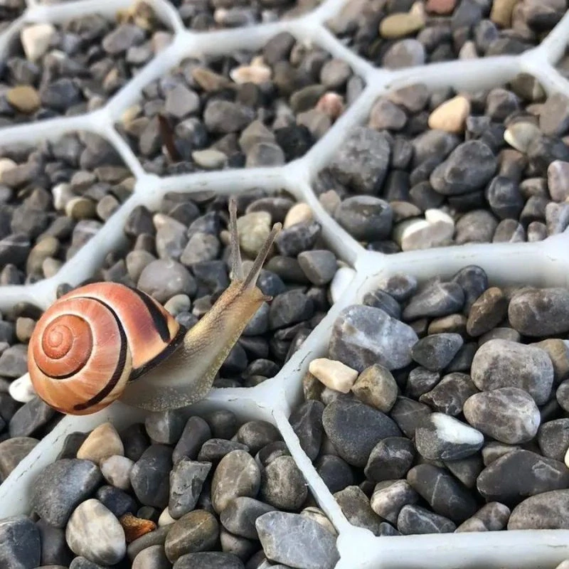 Štěrková stabilizační rohož GravelGrid 160x120cm bílá