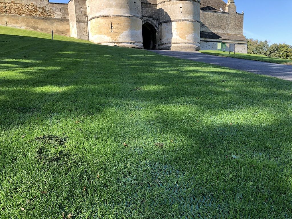 Zatravňovací rohož na trvalé parkování GrassRoll Extra | 2x5m | 10m2 až do 7,5 tun
