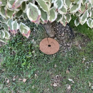 Kokosový kruh Ø16cm ochrana pro strom 800g/m2