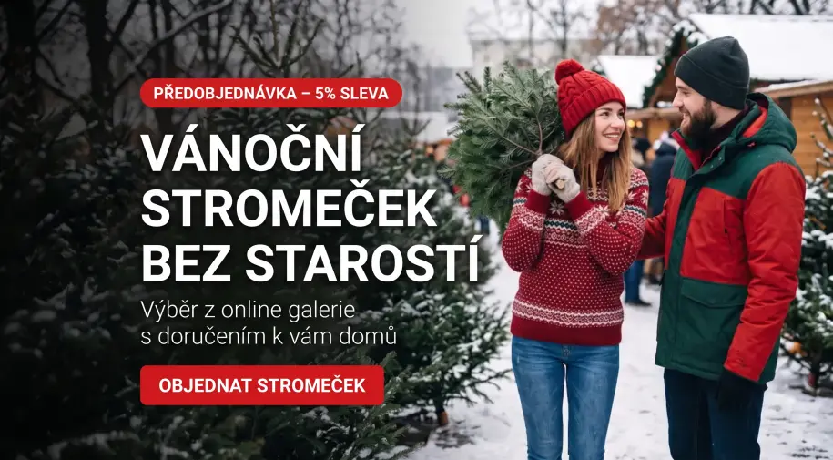 Živé vánoční stromky předobjednávka