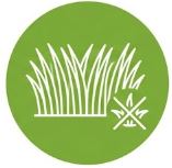 Vysoká čistota osiva Barenbrug RPR Lawn