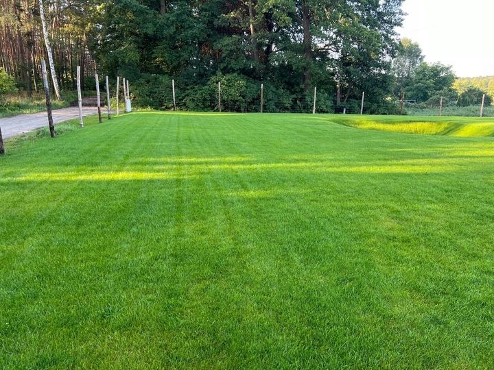 hustý a odolný trávník Barenbrug RPR Lawn