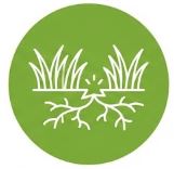 Samoregenerační schopnost osiva Barenbrug RPR Lawn