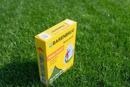 Detail hustého trávníku Water Saver