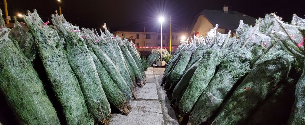 Rezervace a odložení stromku
