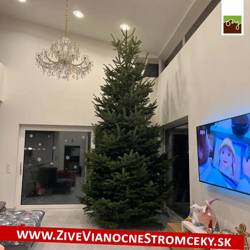 Velký vánoční stromek